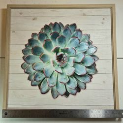 Succulent Wall Art - Pinwheel