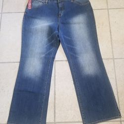 Size 20 Merona Jean's $10 New