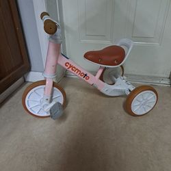 Toddler Trike 