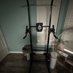 Pull-up Dip Station 