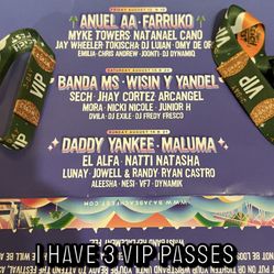BAJA FEST VIP 