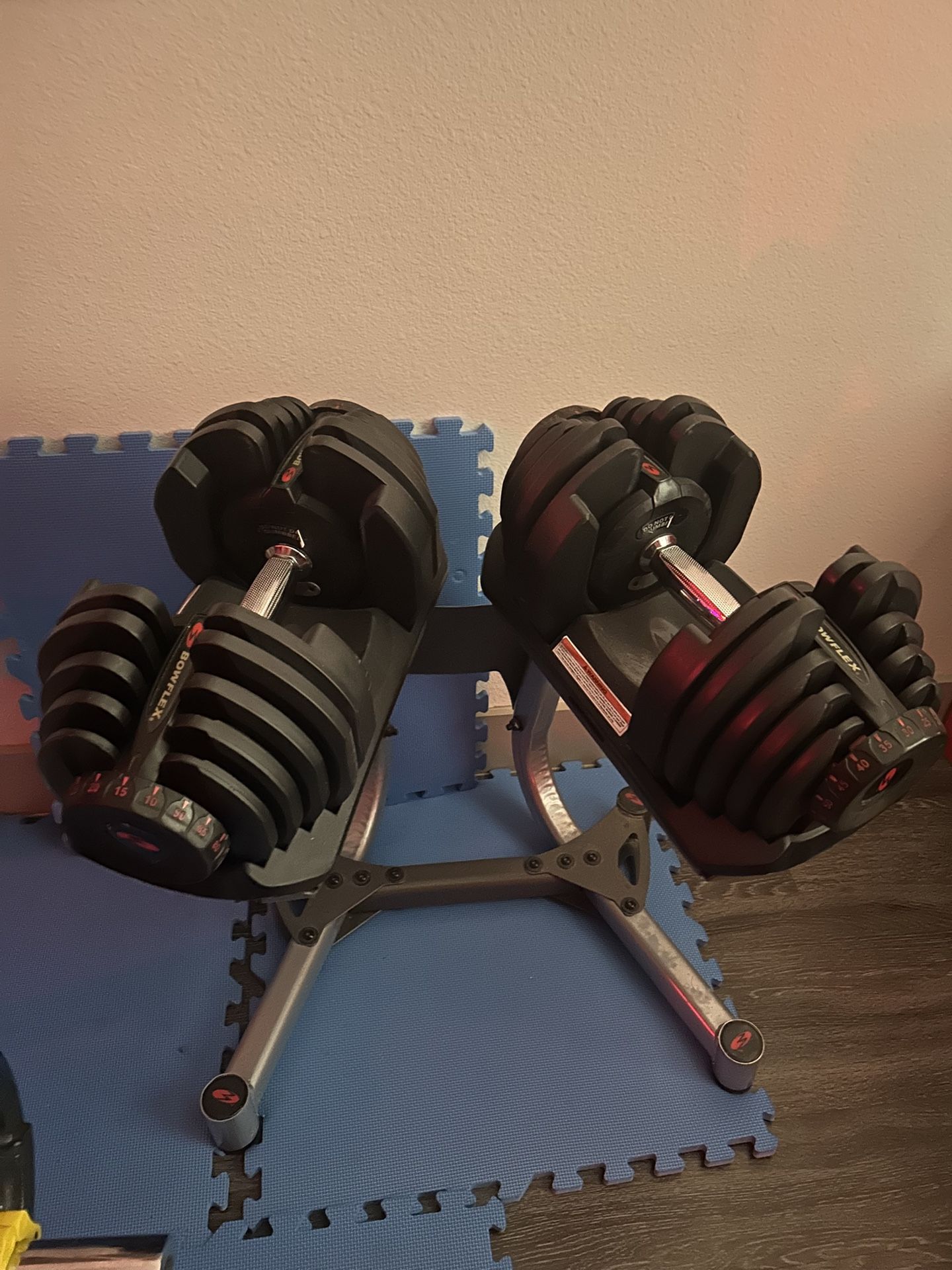 Bowflex 1090 Adjustable Dumbbells With Stand