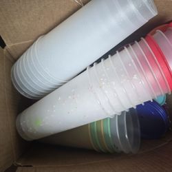 Crafting Cups Bulk