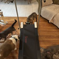 Manual Treadmill