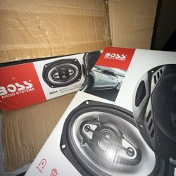 NX694 Boss Car Speakers