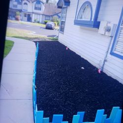 Unique plant Or garden fencing