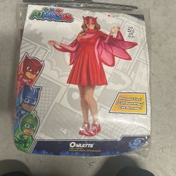 Pj mask Adult Costume Small