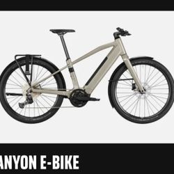 Canyon E Bike Precede ON 5