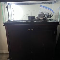 Aquarium 