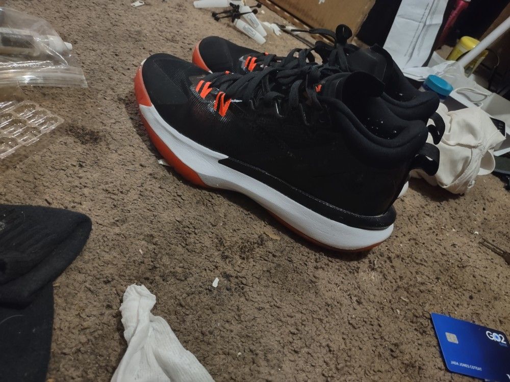 Jordan's Zion1 Sneakers