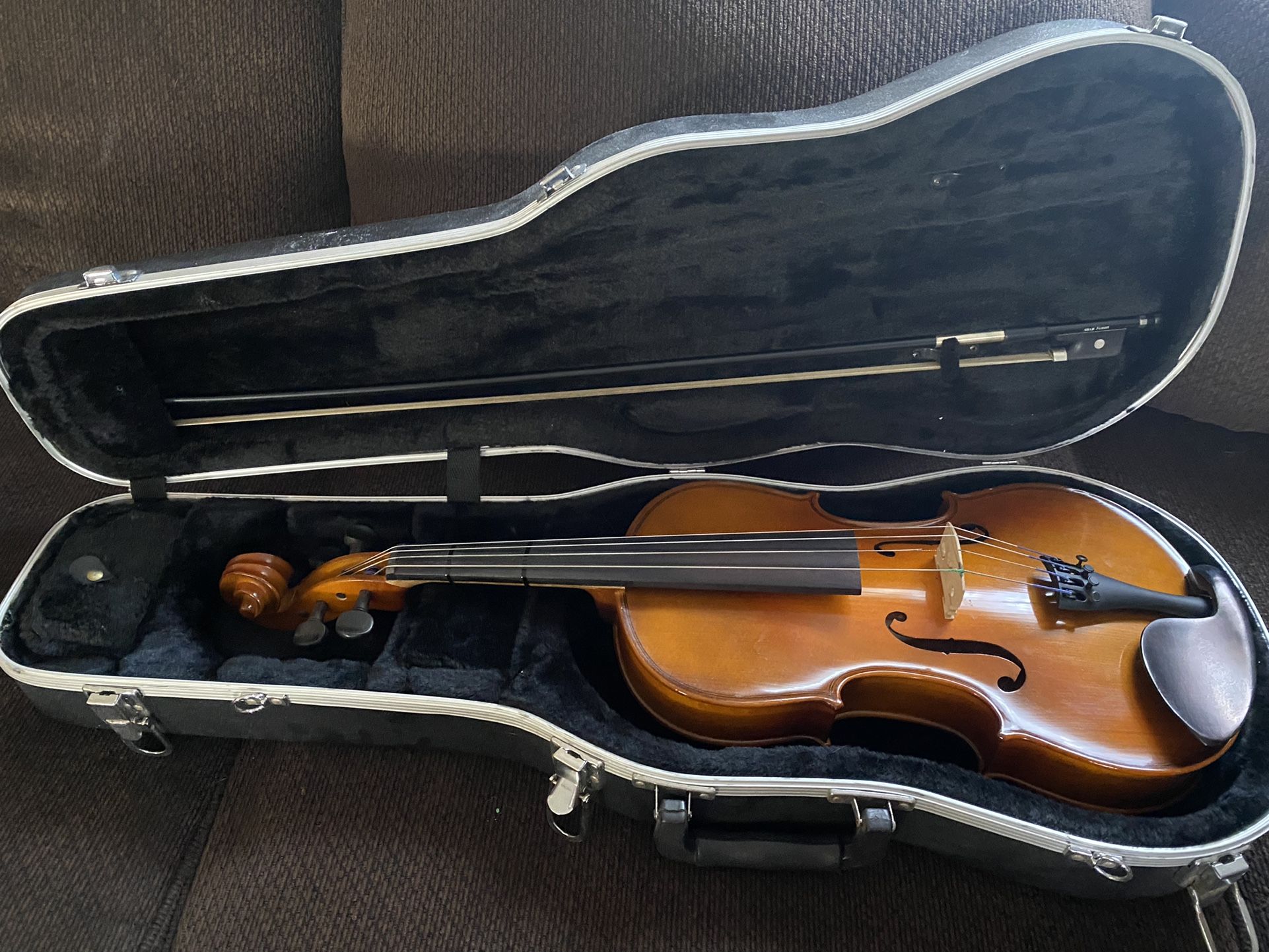 Viola