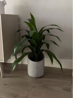 Large fake plant