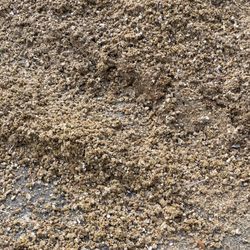 Clean Chicken Manure