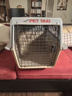 Large PET Taxi  18.5 X24.5 X17