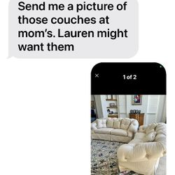 Two Beautiful Couches 