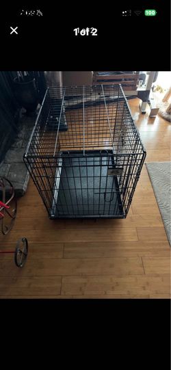 Cage dog