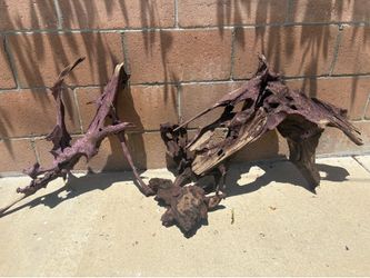 Drift wood for aquarium