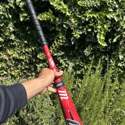 Marucci Baseball Bat