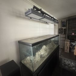 125 Gallon Aquarium