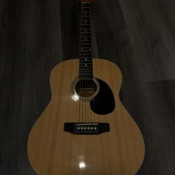 Guitar