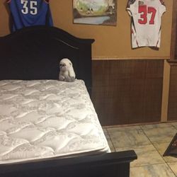 Twin Solid Wood Bed With Trundle 