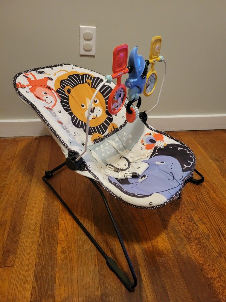 Fisher Price Bouncer Seat