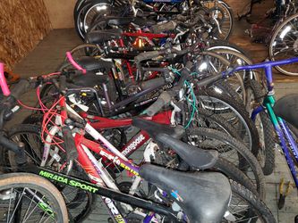 Lots and lots of adult/kids bikes