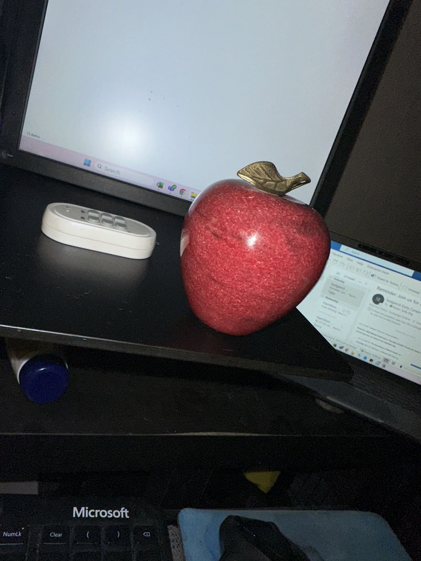 Apple. Paperweight