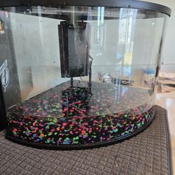 6 Gallon Fish Tank 