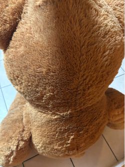 Big brown teddy bear