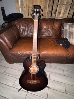 Wayne Mitchel acoustic/electric bass