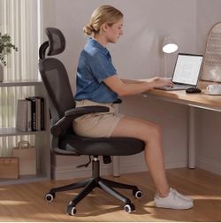 Brand new mesh office chair (open box)