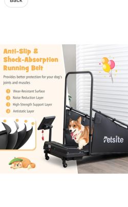 Treadmill for dog