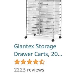Multi Drawer Organizer 