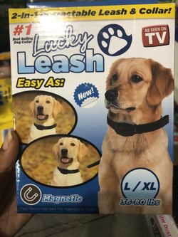 2-in-1 Leash and Collar - L/XL - Brand New