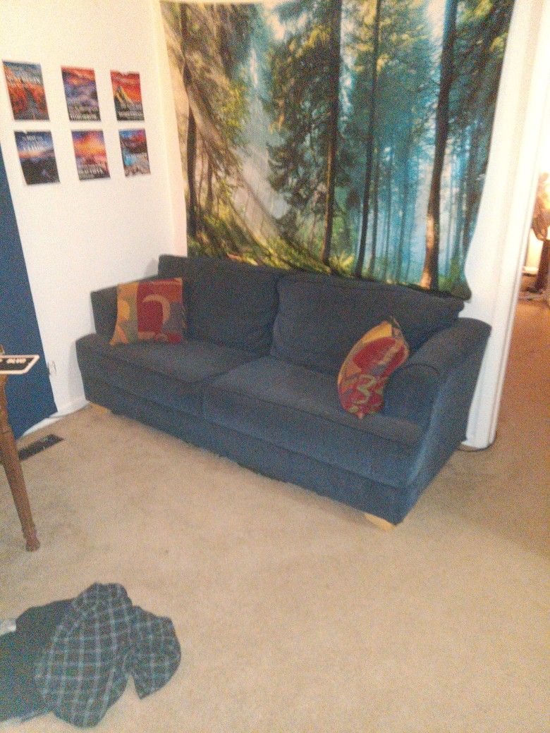 Midnight Blue Couch. Pickup Only.