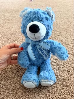 Polar Express Bear