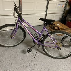 Purple Bike 