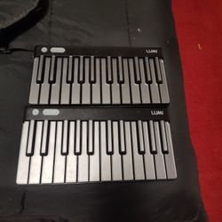 Roli Lumi Keys 