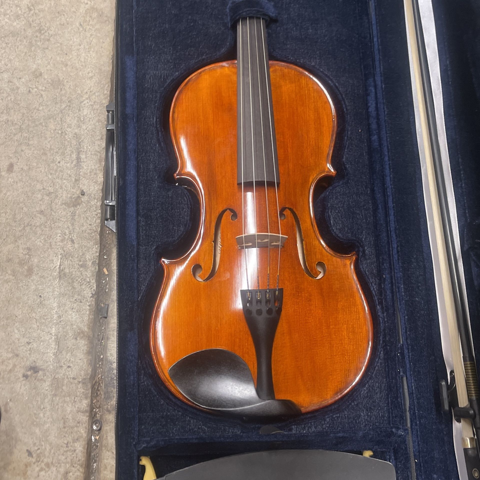 16 Inch Sebastian Viola