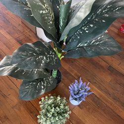 Fake Plants