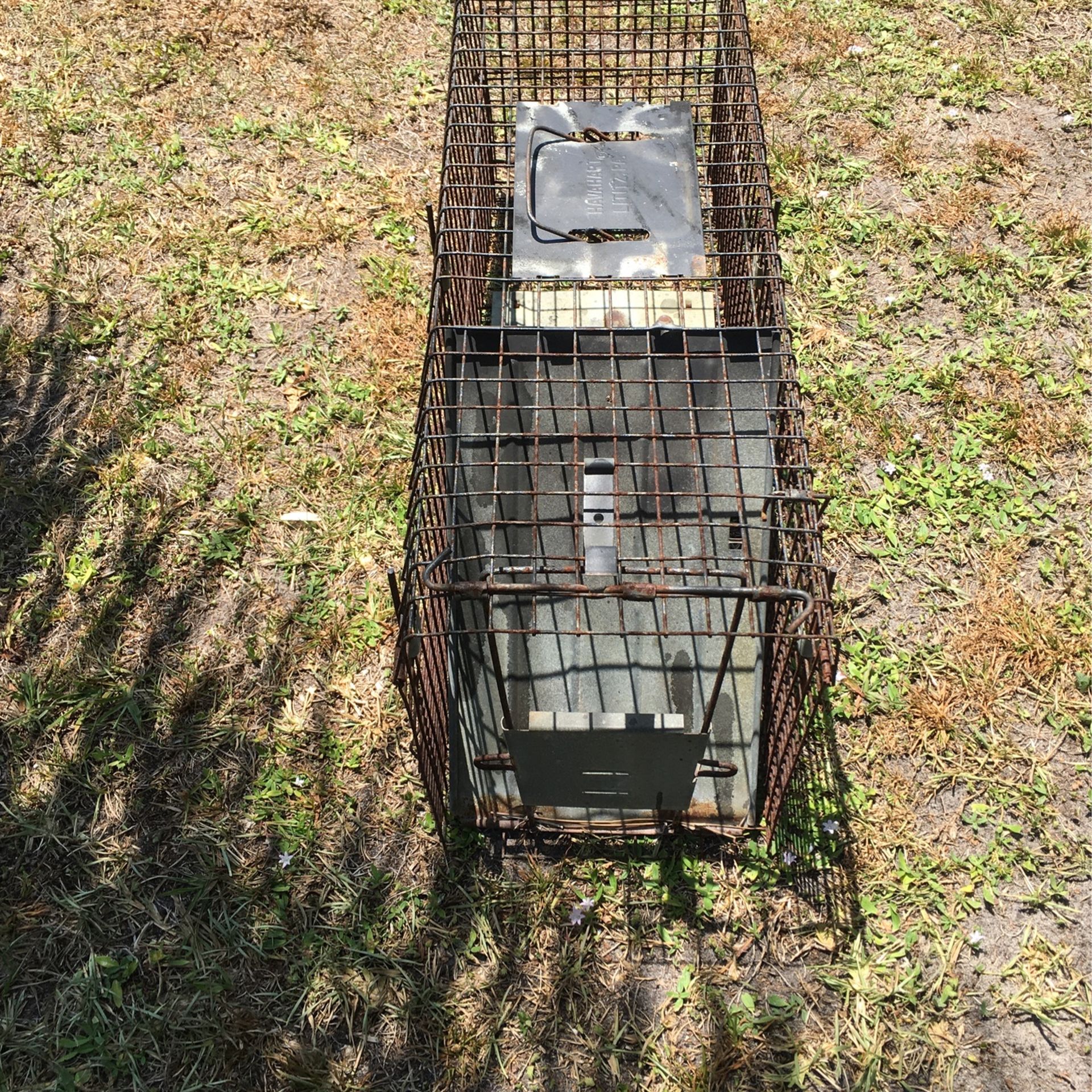 Animal trap