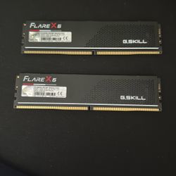FLARE X5 G.Skill DDR5 Ram