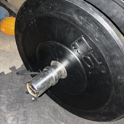 Bumper Plates