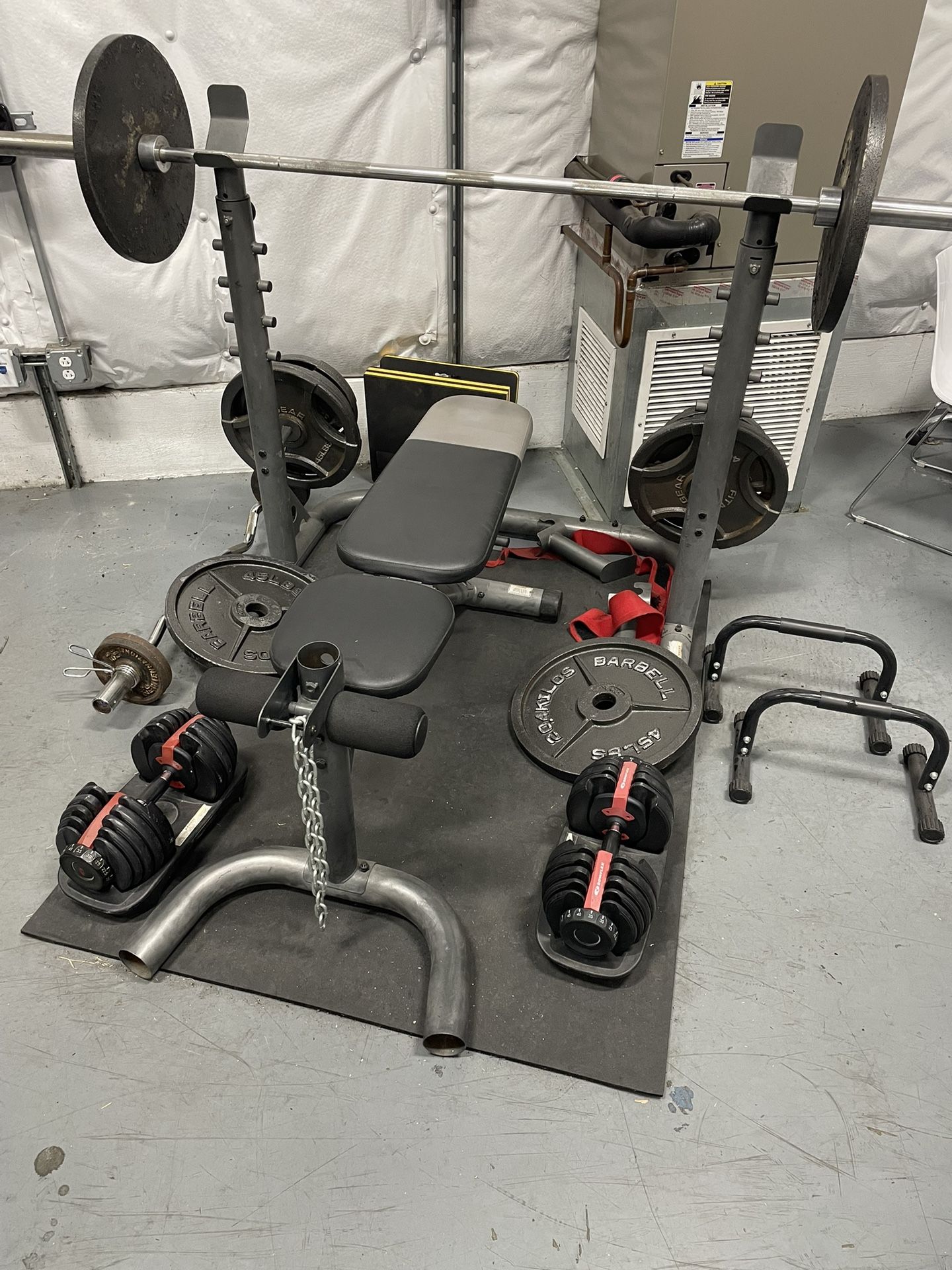 Olympic Weight Set + Curl Bar + Dumbbells