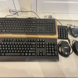 Computer Keyboards and Mice