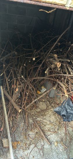Fire wood
