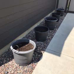 Planter Pots  10 & 12 Gallon