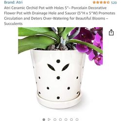 5” Ceramic Orchid Pot