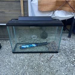 40 Gallon Tall